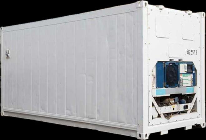 Beli Container Globalink Continindo